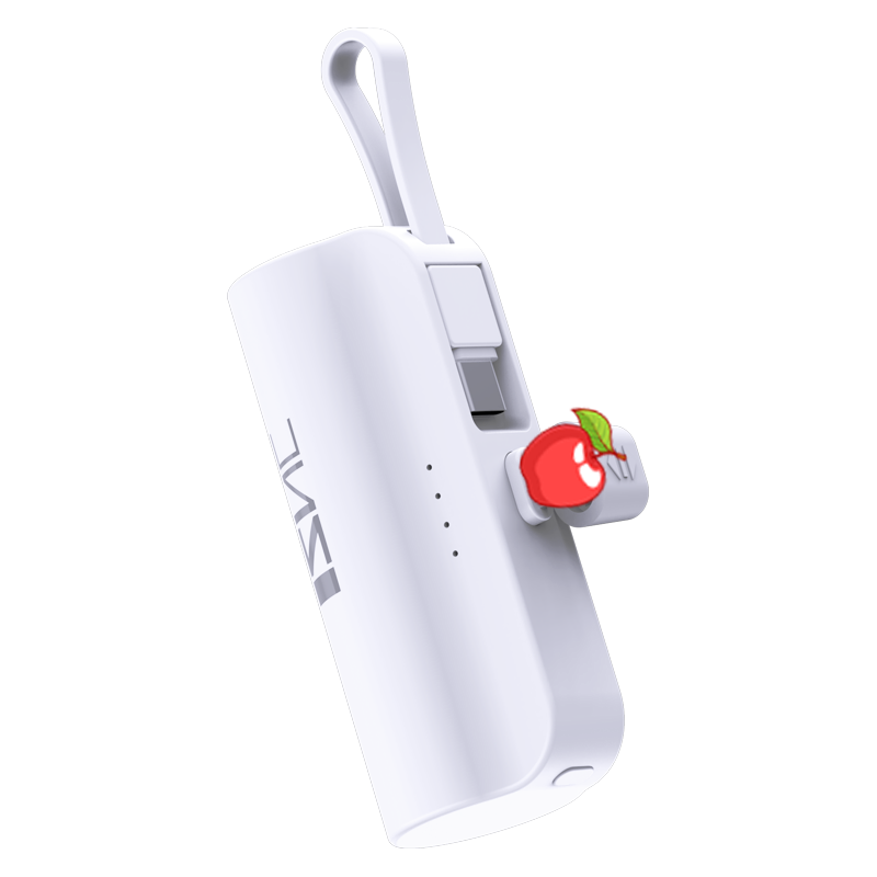 pocket size iphone charger